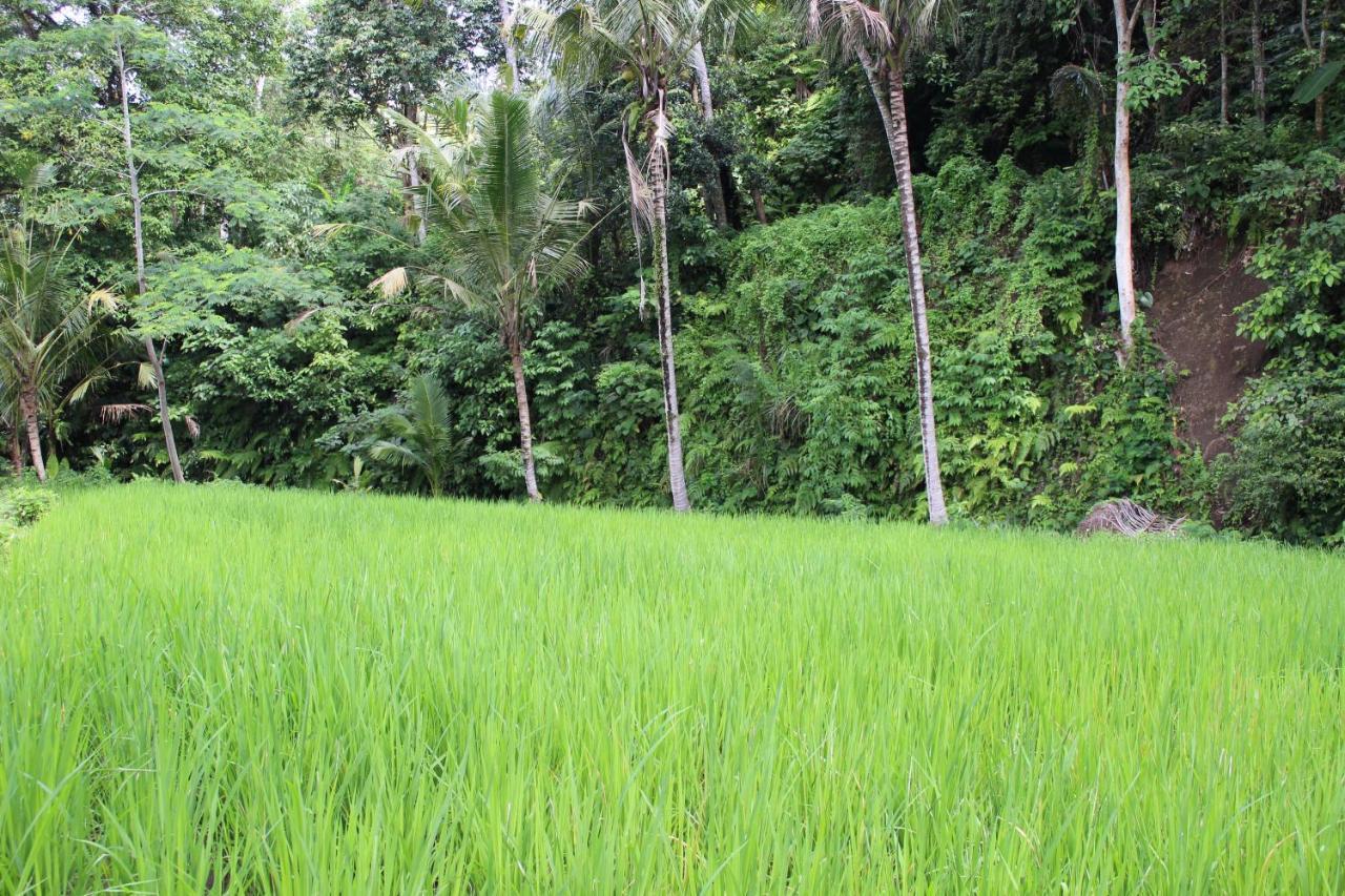 Pondok Tepi Sungai Sidemen  Exteriör bild
